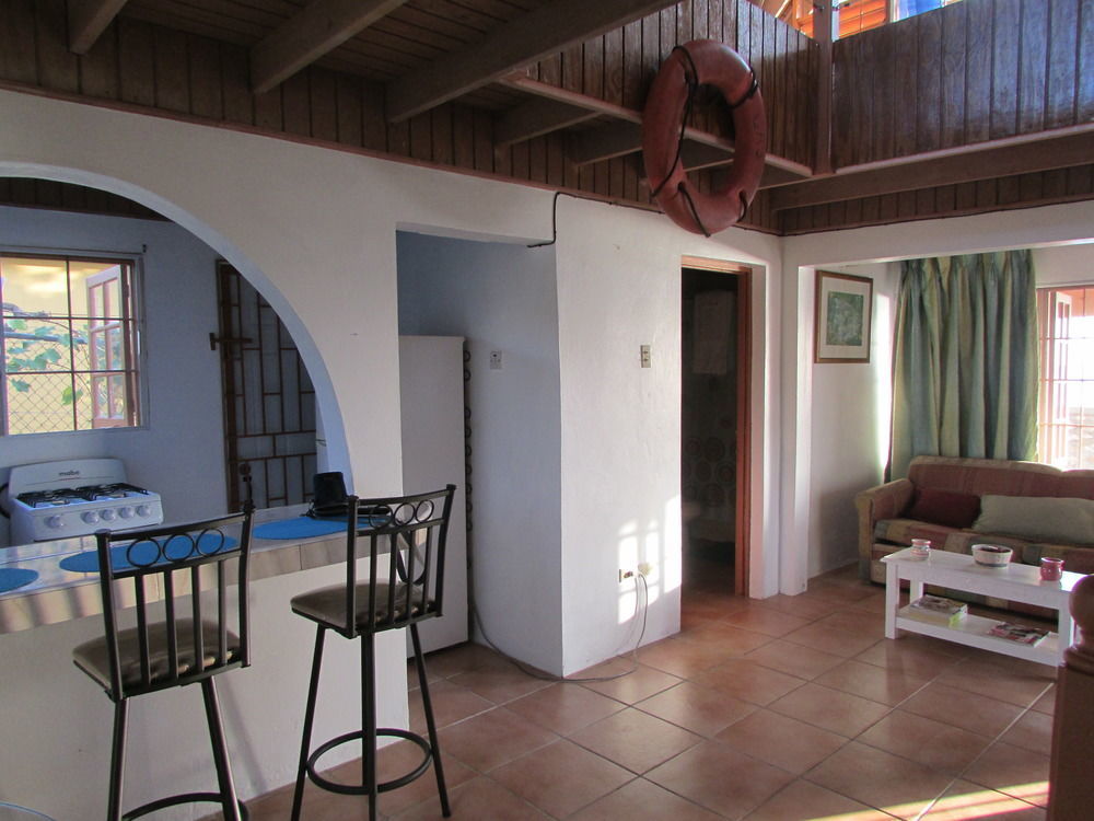 Ocho Rios Villa At Coolshade IV Saint Annʼs Bay Zewnętrze zdjęcie