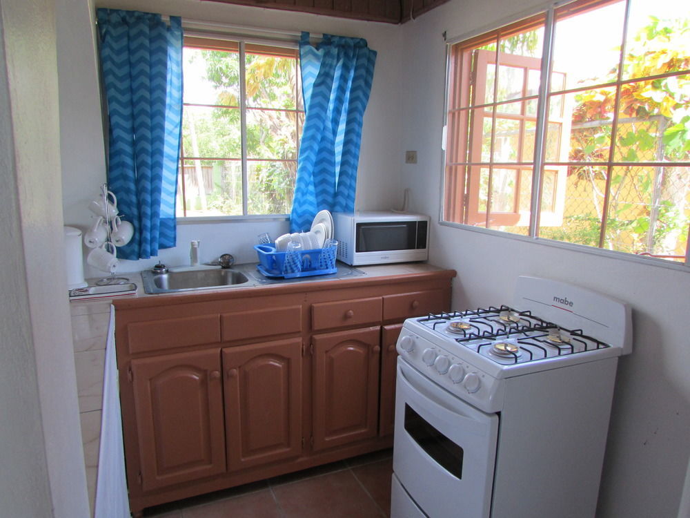 Ocho Rios Villa At Coolshade IV Saint Annʼs Bay Zewnętrze zdjęcie